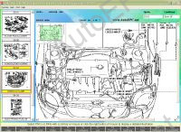 Toyota & Lexus Japan Frame 2010            