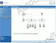 Peugeot Wiring Diagrams    